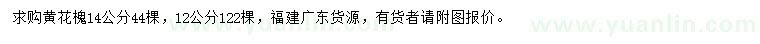 求购12、14公分黄花槐