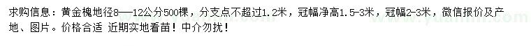 求购地径8-12公分黄金槐