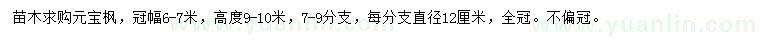 求购冠幅6-7米元宝枫