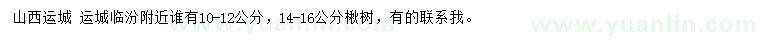 求购10-12、14-16公分楸树