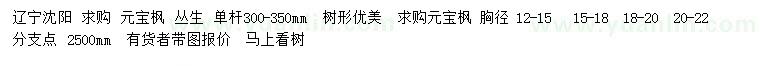 求购单杆30-35公分丛生元宝枫、胸径12-15、15-18、18-20、20-22公分元宝枫