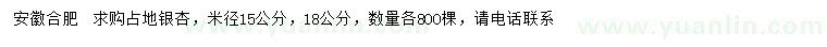 求购米径15、18公分银杏