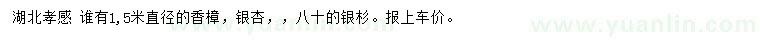 求购香樟、银杏、银杉