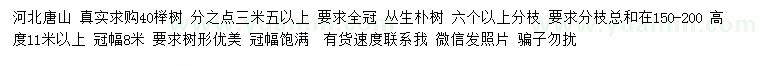 求购40公分榉树、高度11米以上丛生朴树