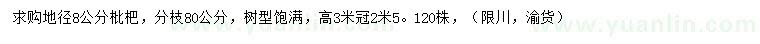 求购地径8公分枇杷