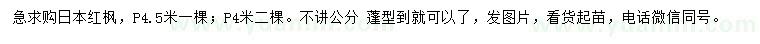 求购冠4、4.5米日本红枫