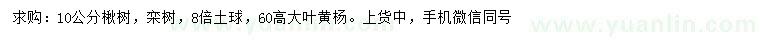 求购楸树、栾树、大叶黄杨