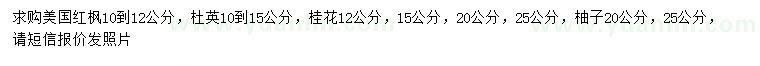 求购美国红枫、杜英、桂花等