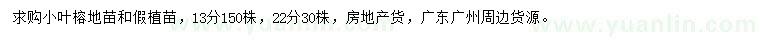 求购13、22公分小叶榕