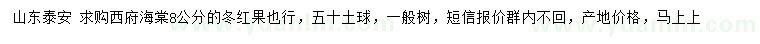 求购8公分西府海棠、冬红果