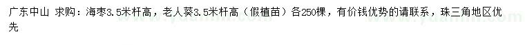 求购高3.5米海枣杆、老人葵