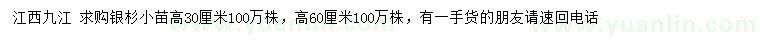 求购高30、60公分银杉小苗