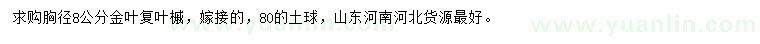 求购胸径8公分金叶复叶槭