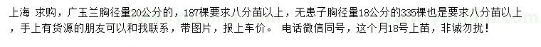 求购胸径量20公分广玉兰、18公分无患子