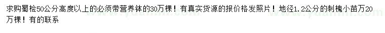 求购高度50公分以上蜀桧、地径1.2公分刺槐小苗