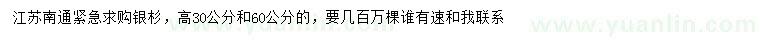 求购高30、60公分银杉