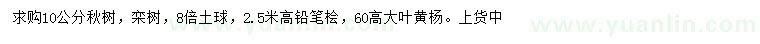 求购楸树、栾树、铅笔桧等