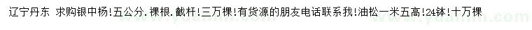 求购5公分银中杨、高1.5米油松