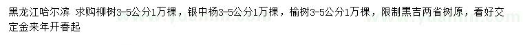 求购柳树、银中杨、榆树