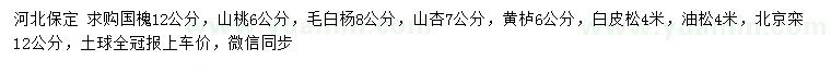 求购国槐、山桃、毛白杨等