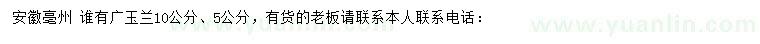 求购5、10公分广玉兰