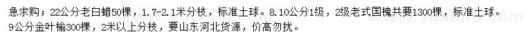 求购老白蜡、老式国槐、金叶榆