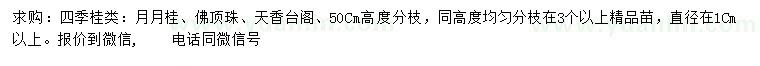 求购月月桂、佛顶珠、天香台阁