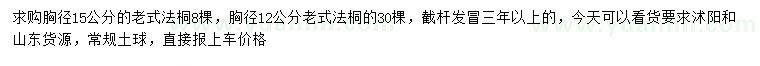 求购胸径12、15公分老式法桐