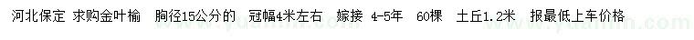 求购胸径15公分金叶榆