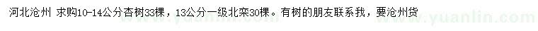 求购10-14公分杏树、13公分北栾