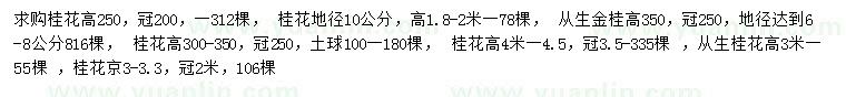 求购桂花、丛生金桂、众生桂花