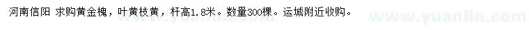 求购杆高1.8米黄金槐、叶黄枝黄