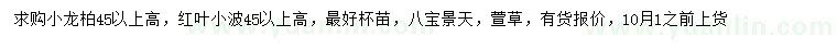 求购小龙柏、红叶小檗、八宝景天等