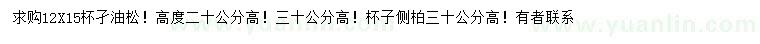 求购高20、30公分油松、高30公分侧柏