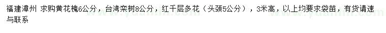 求购黄花槐、台湾栾树、红千层