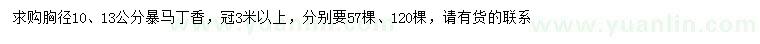 求购胸径10、13公分暴马丁香