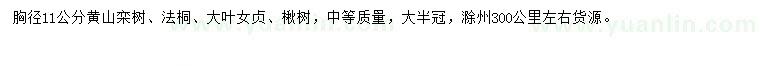 求购黄山栾树、法桐、大叶女贞等