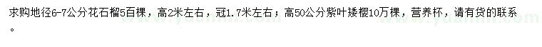 求购地径6-7公分花石榴、高50公分紫叶矮樱