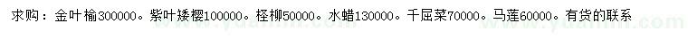 求购金叶榆、紫叶矮樱、柽柳等