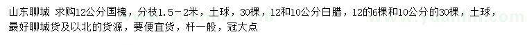 求购12公分国槐、10、12公分白腊