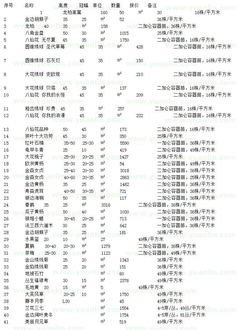 求购龙柏、金边胡颓子、八角金盘等