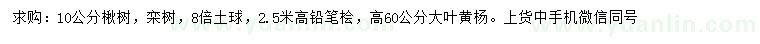 求购楸树、栾树、铅笔桧等