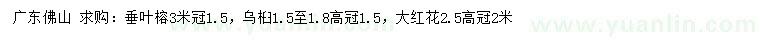 求购垂叶榕、乌桕、大红花