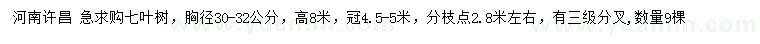 求购胸径30-32公分七叶树