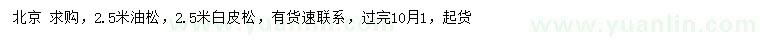 求购2.5米油松、白皮松