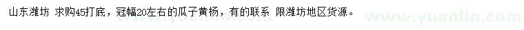 求购冠幅20公分左右瓜子黄杨