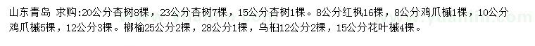 求购杏树、红枫、鸡爪槭等