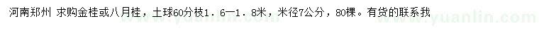 求购米径7公分金桂、八月桂