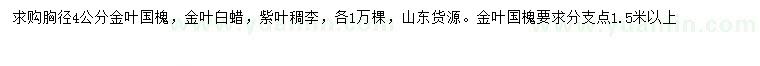 求购金叶国槐、金叶白蜡、紫叶稠李