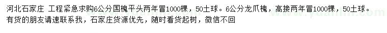 求购6公分国槐、龙爪槐